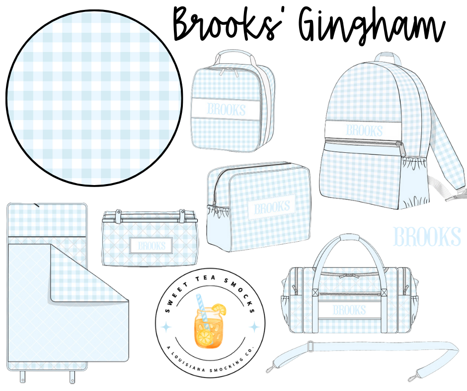 Luggage: Blue Gingham